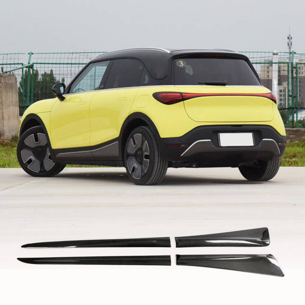 Side Skirts (Carbon) for Smart 1 2022- - image 1