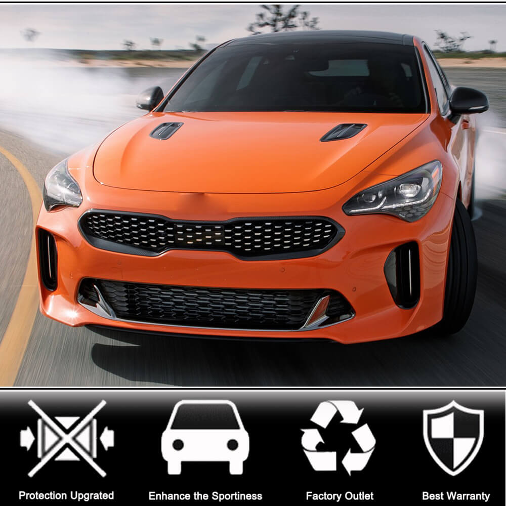 Front Grille Surround (Carbon) for Kia Stinger 2017-2023 - image 2