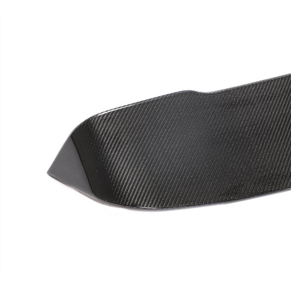 Spoiler (Carbon) for Volkswagen T6 2015-2024 - image 3