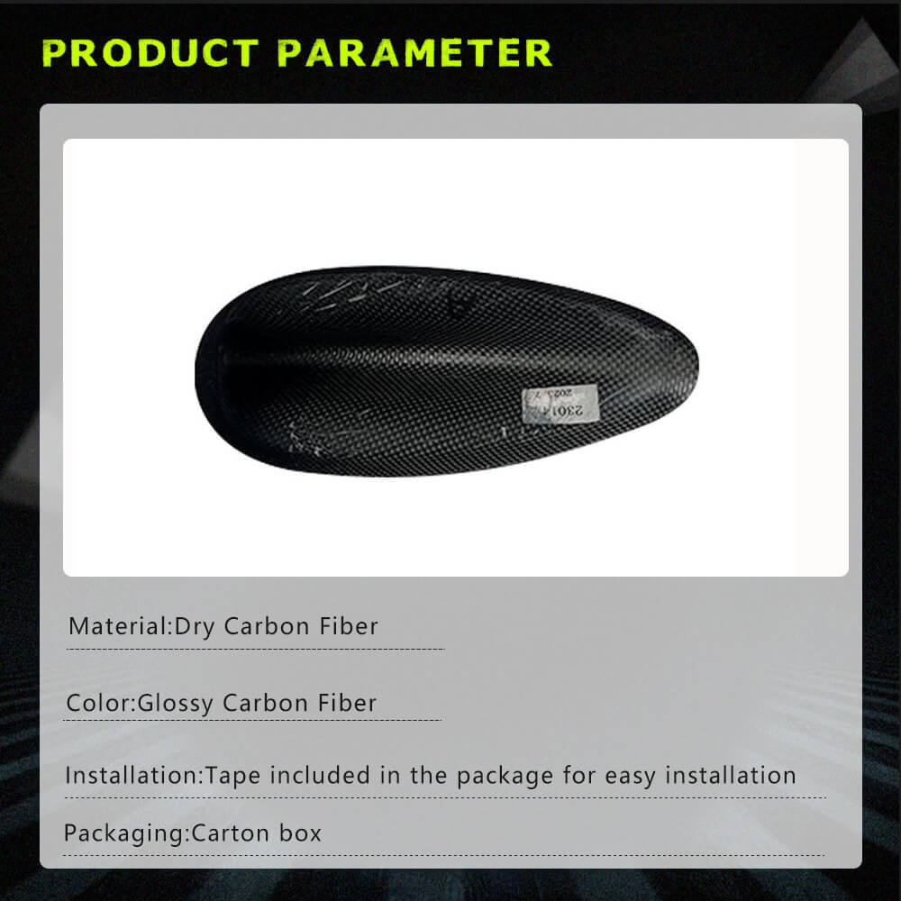 Roof fin (Carbon) for Ford Mustang E-mach - image 4
