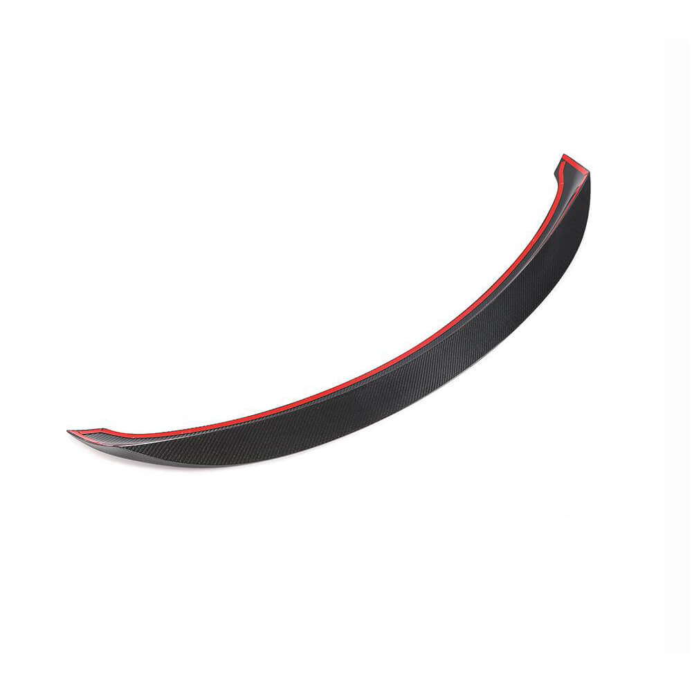 Spoiler (Carbon) for Mercedes SLS C197 2010-2014 - image 4