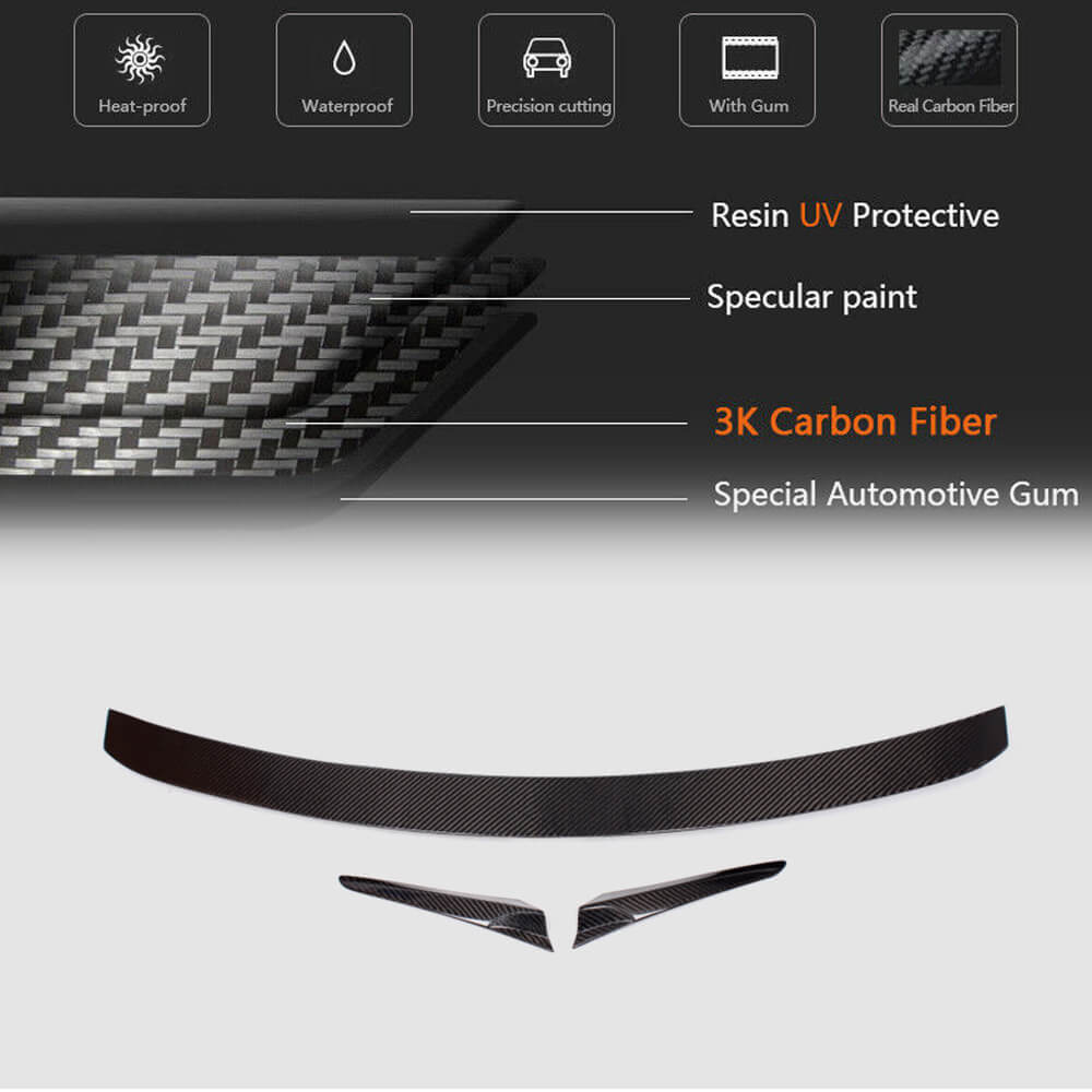 Spoiler (Carbon) for Mercedes CL-class C216 2006-2014 - image 5