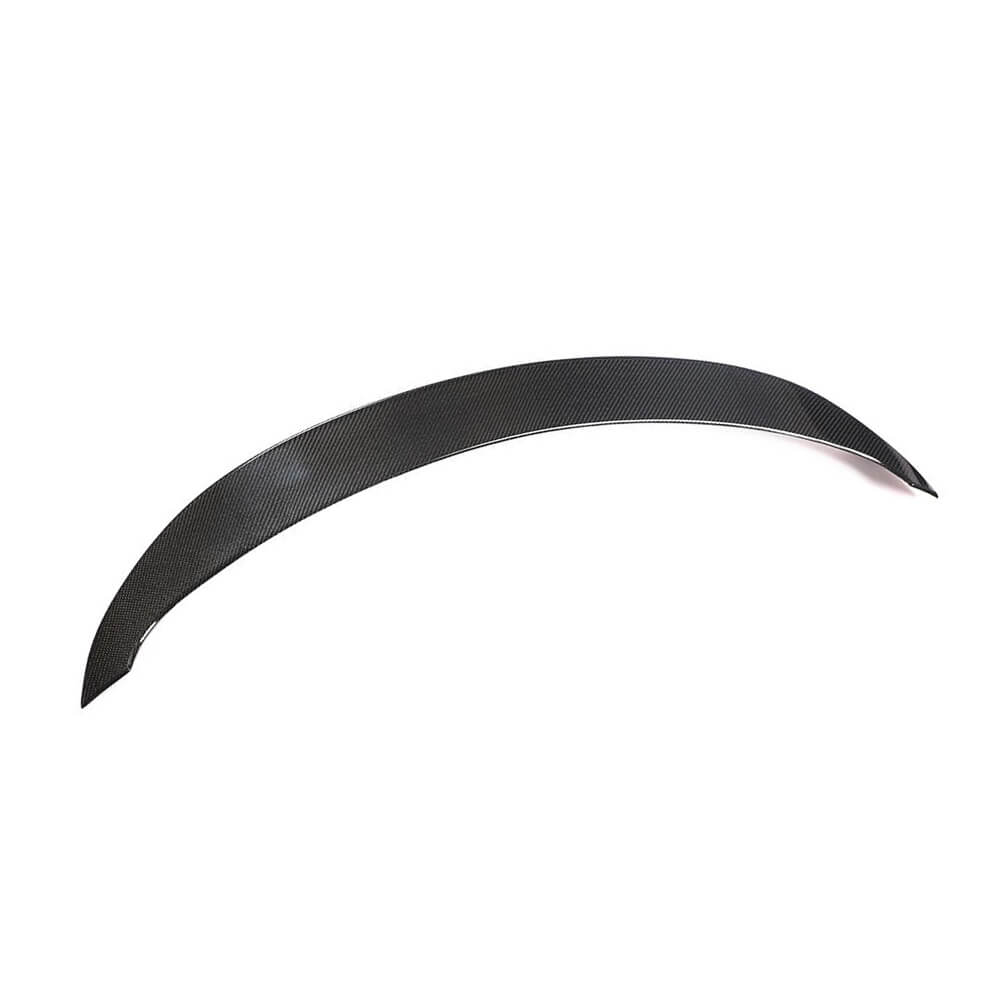 Spoiler (Carbon) for Mercedes SLS C197 2010-2014 - image 5