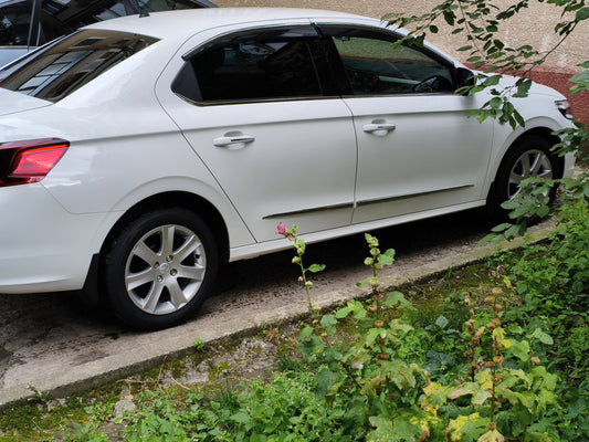 Stainless Steel Window Trim for Peugeot 301 2012- - image 1