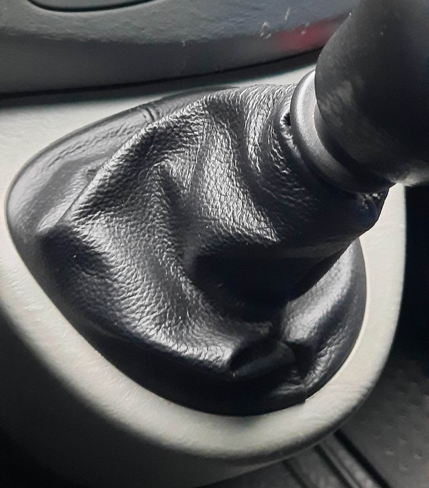 Leather Case CAT for Renault Trafic 2001-2015 - Reelken Auto
