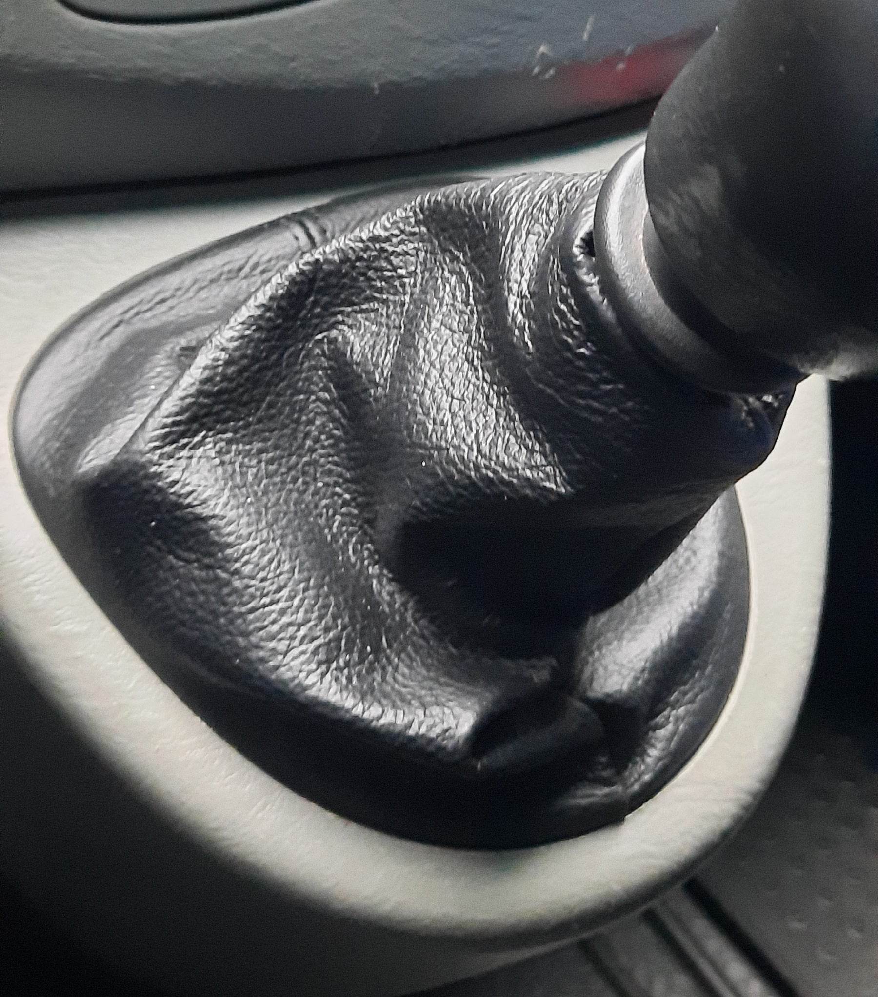Leather Case CAT for Renault Trafic 2001-2015 - Reelken Auto