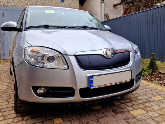 Winter cover on the grille (2007-2010, top) for Skoda Roomster 2006-2015 - image 2