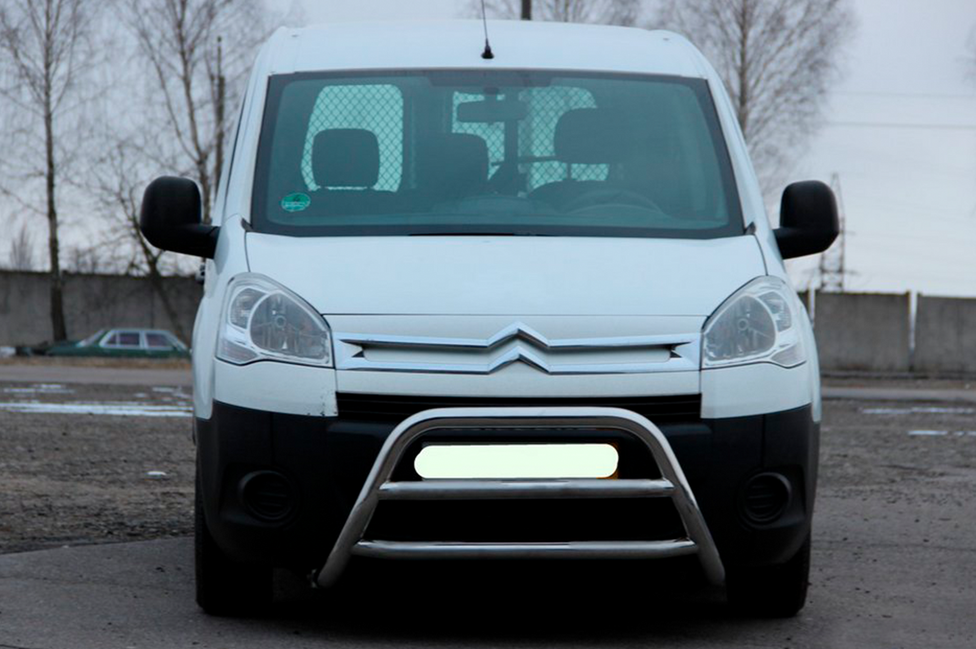 Bull Bar WT022 (Stainless Steel) for Citroen Berlingo 2008-2018 - image 4