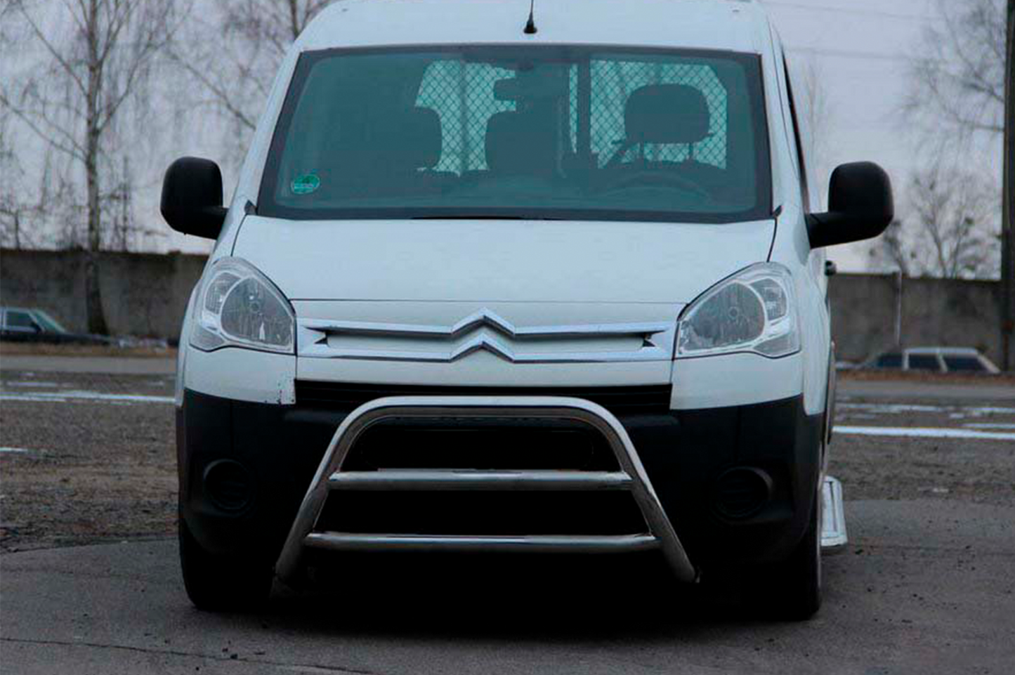 Bull Bar WT022 (Stainless Steel) for Citroen Berlingo 2008-2018 - image 1