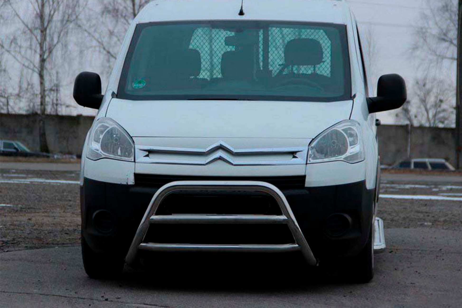 Bull Bar WT022 (Stainless Steel) for Citroen Berlingo 2008-2018 - image 1