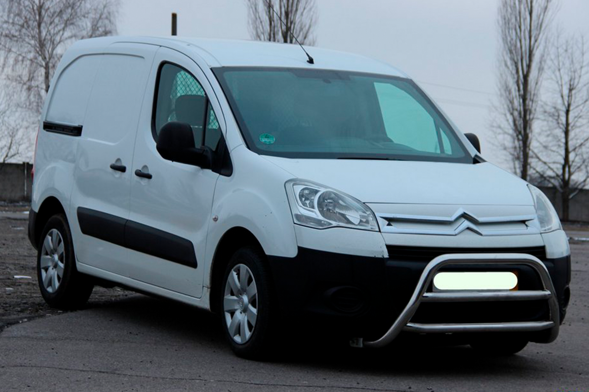 Bull Bar WT022 (Stainless Steel) for Citroen Berlingo 2008-2018 - image 3