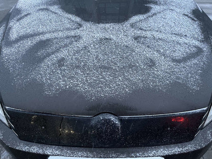 Winter grille (EU/USA) for Volkswagen Passat B7 2012-2015 - image 1