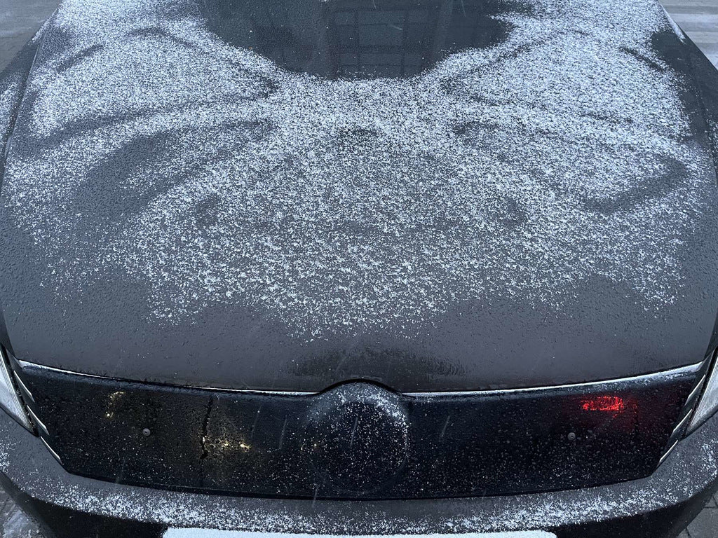 Winter grille (EU/USA) for Volkswagen Passat B7 2012-2015 - image 1