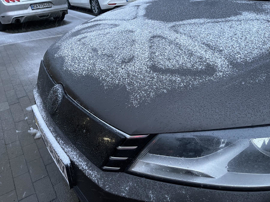 Winter grille (EU/USA) for Volkswagen Passat B7 2012-2015 - image 4