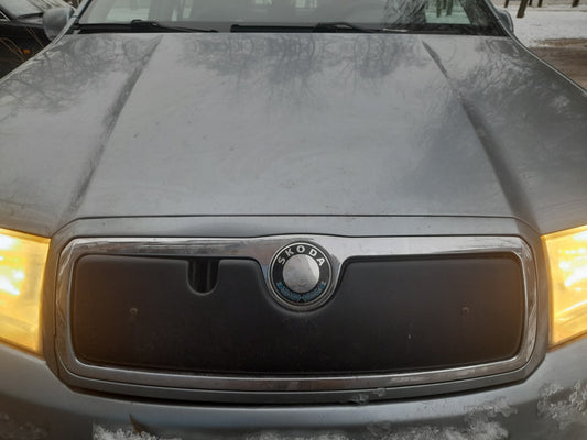 Winter cover for grille for Skoda Fabia 2000-2007 - image 2