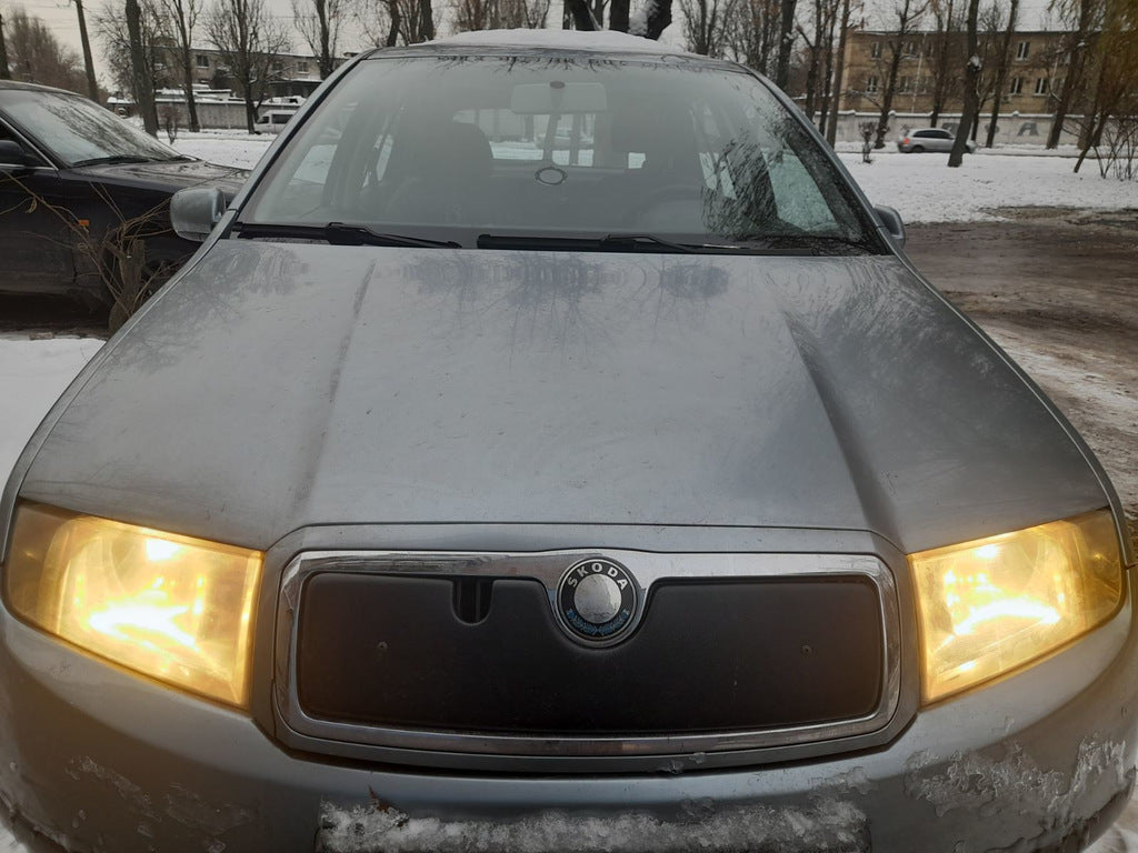 Winter cover on the grille for Skoda Fabia 2000-2007 - image 3