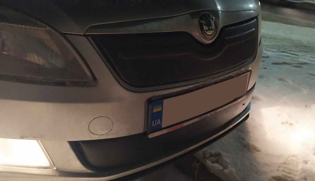 Winter grille cover (2011-2014, upper) for Skoda Fabia 2007-2014 - image 3