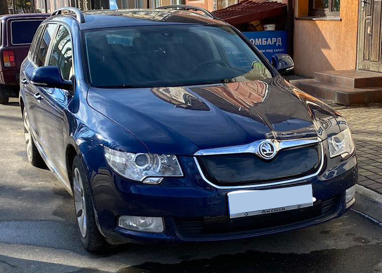 Winter cover on the grille (lower, 2008-2013) for Skoda Superb 2009-2015 - image 7