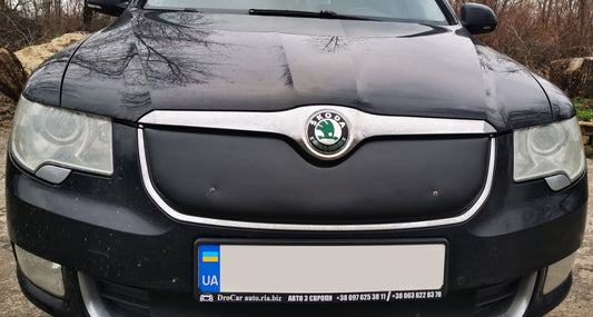 Winter cover on the grille (Top, 2008-2013) for Skoda Superb 2009-2015 - image 1
