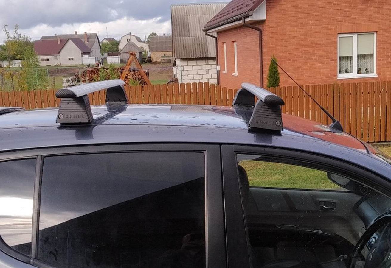 Car trunk for a smooth roof Erkul V4 (chrome, pair) - Reelken Auto