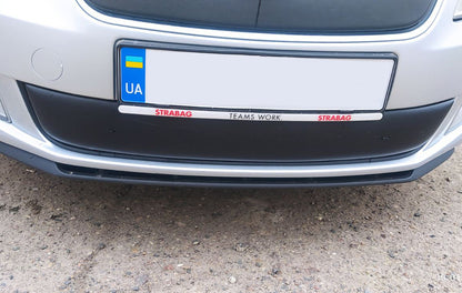 Winter grille cover (2011-2014, lower) for Skoda Fabia 2007-2014 - image 1