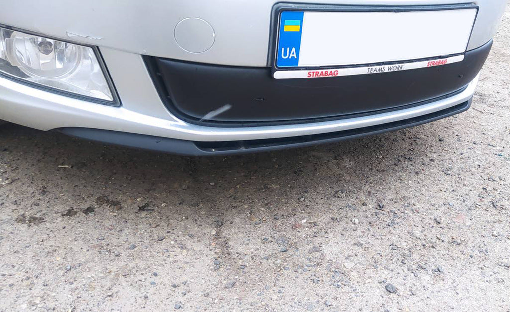 Winter grille cover (2011-2014, lower) for Skoda Fabia 2007-2014 - image 2