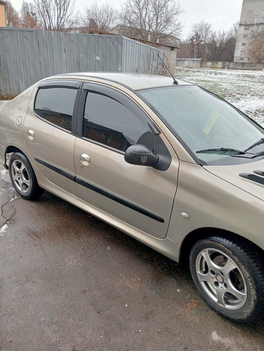 Pads on the handles (stainless) for Peugeot 206 - image 2