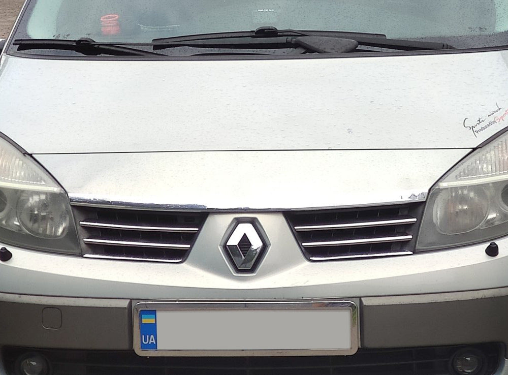 Grille Covers (4 pcs, Stainless Steel) for Renault Scenic/Grand 2003-2009 - image 1