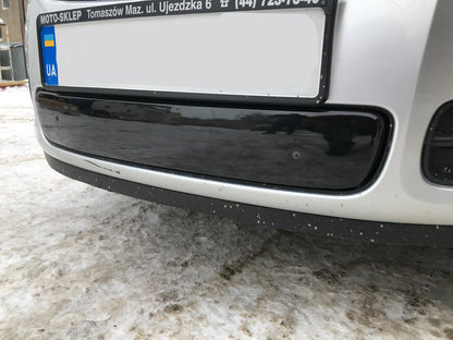 Winter grille cover (2007-2010, lower) for Skoda Fabia 2007-2014 - image 3