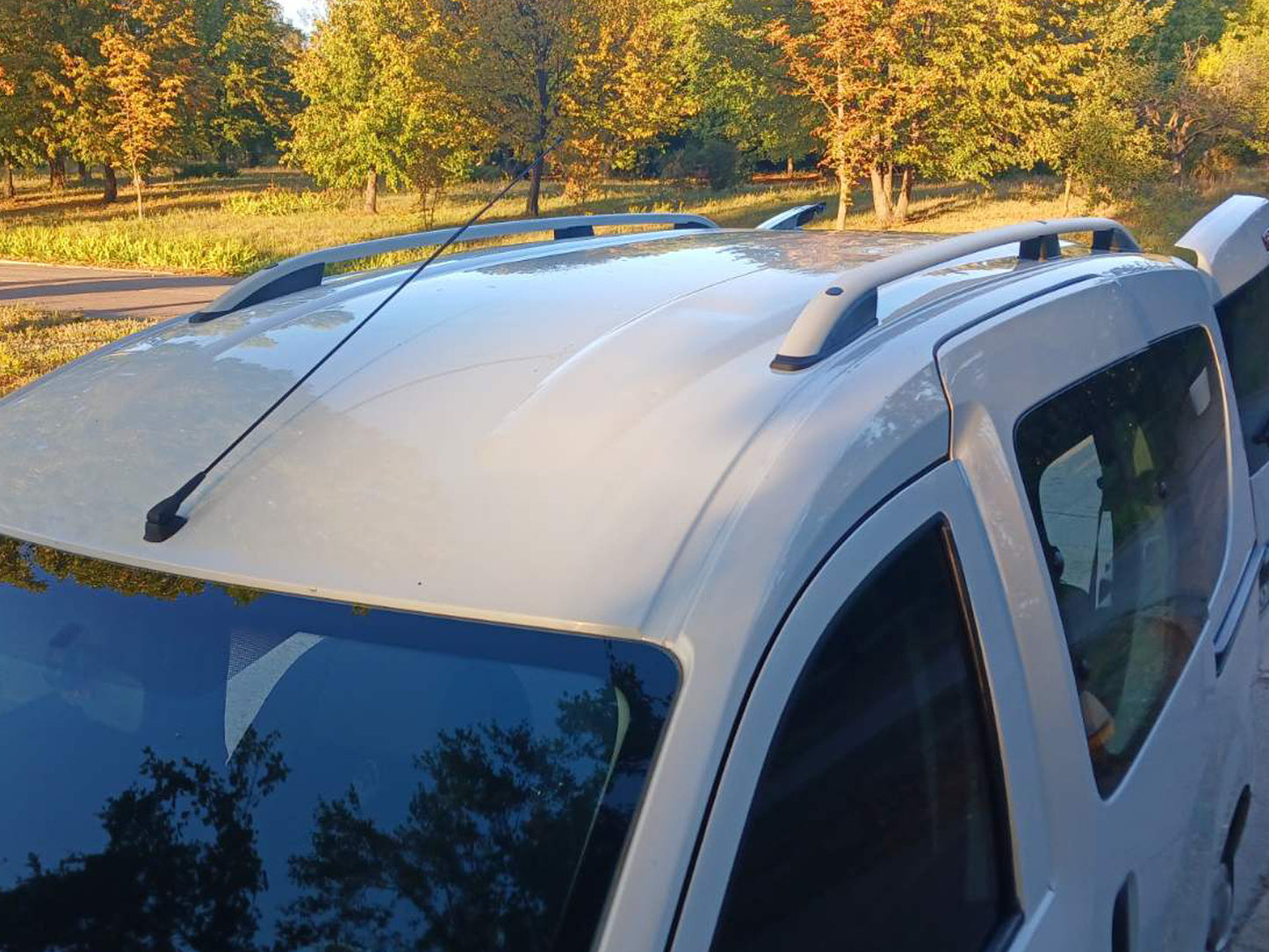 Roof Rails Skyport (matte grey) for Renault Dokker 2013-2022 - image 1