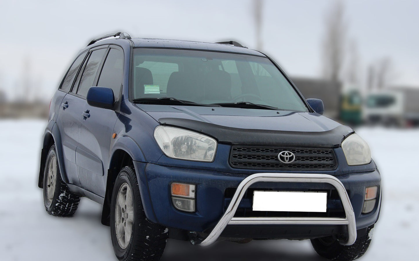 Bull Bar WT005 (Stainless Steel) for Toyota Rav 4 2001-2005 - image 3