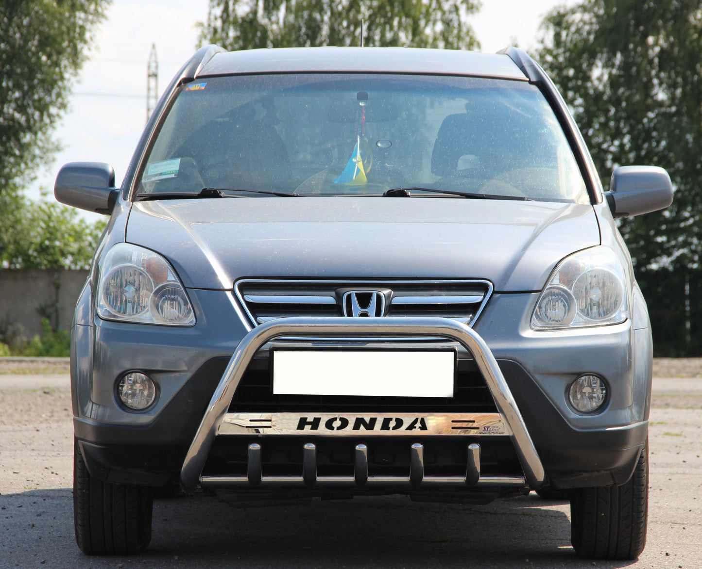 Bull Bar WT004 Stainless Steel for Honda CRV 2001-2006 - image 1