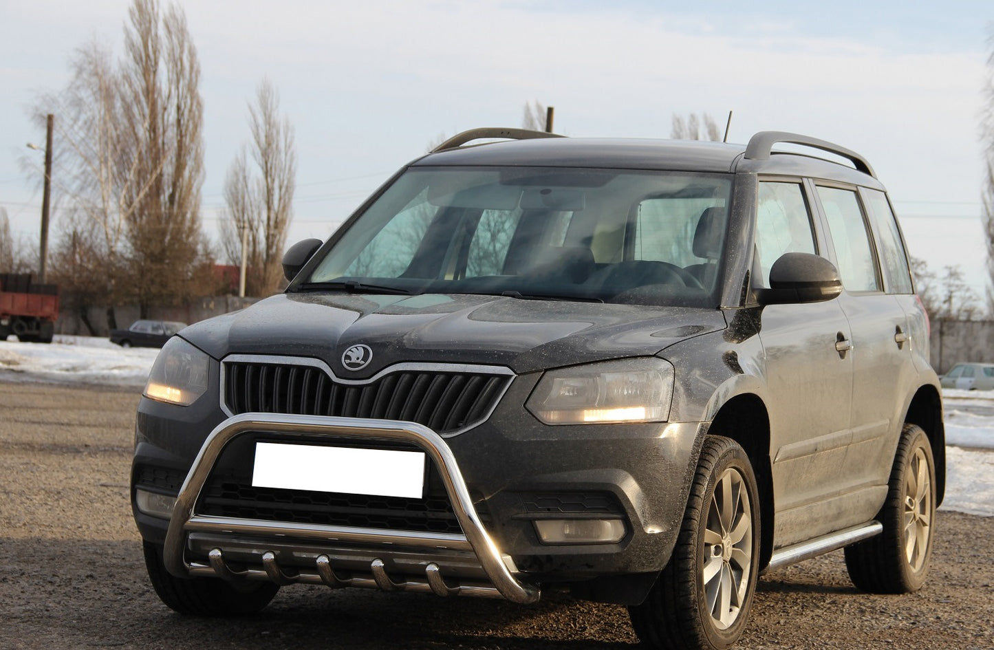 Bull Bar WT003 (Stainless Steel) for Skoda Yeti 2009-2017 - image 3