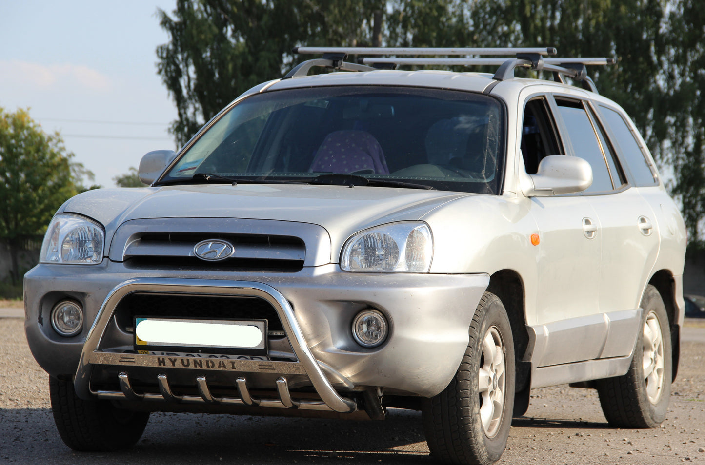 Bull Bar WT004 Stainless Steel for Hyundai Santa Fe 1 2000-2006 - image 1