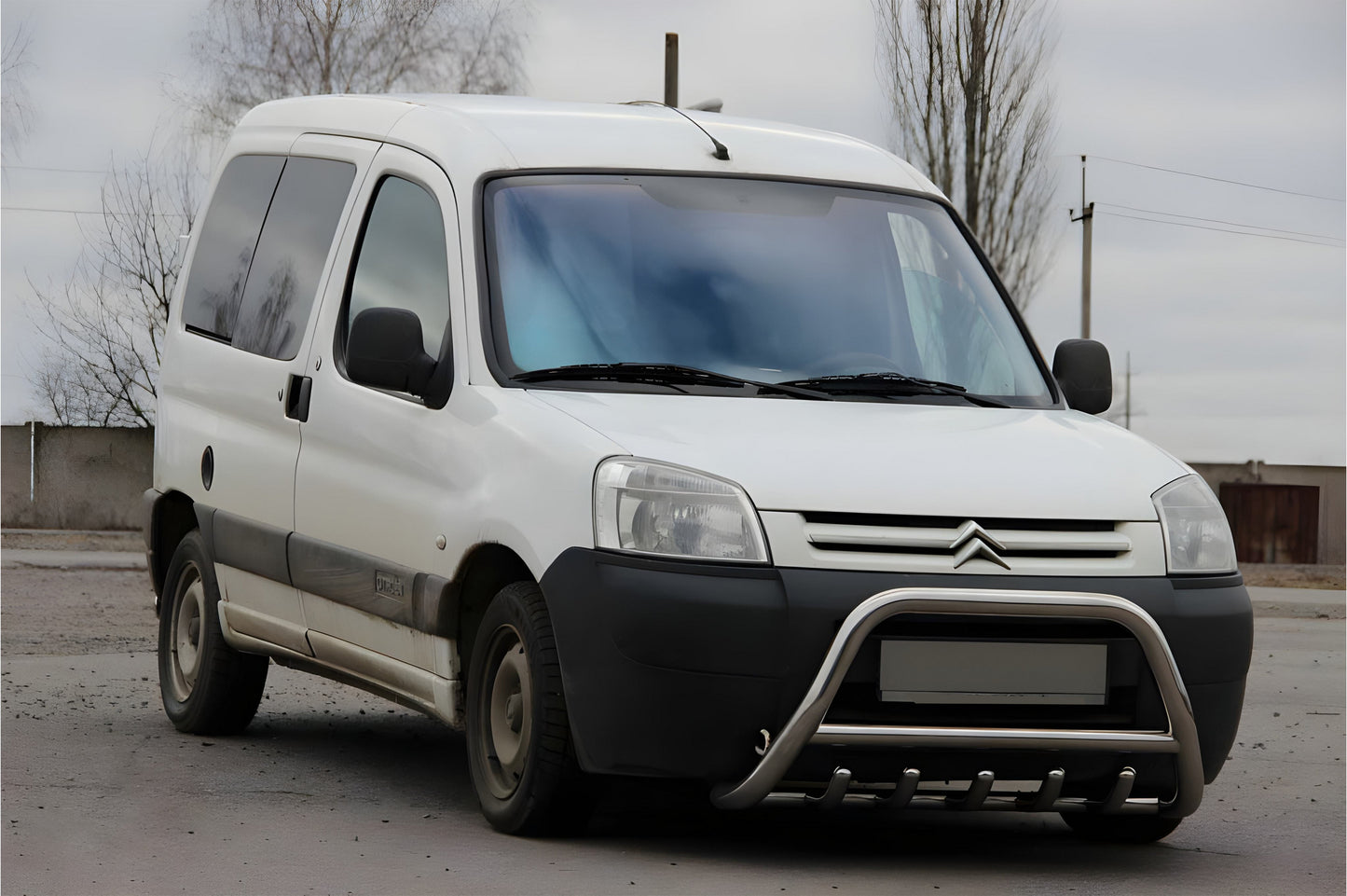 Bull Bar WT003 (Stainless Steel) for Peugeot Partner 1996-2008 - image 1