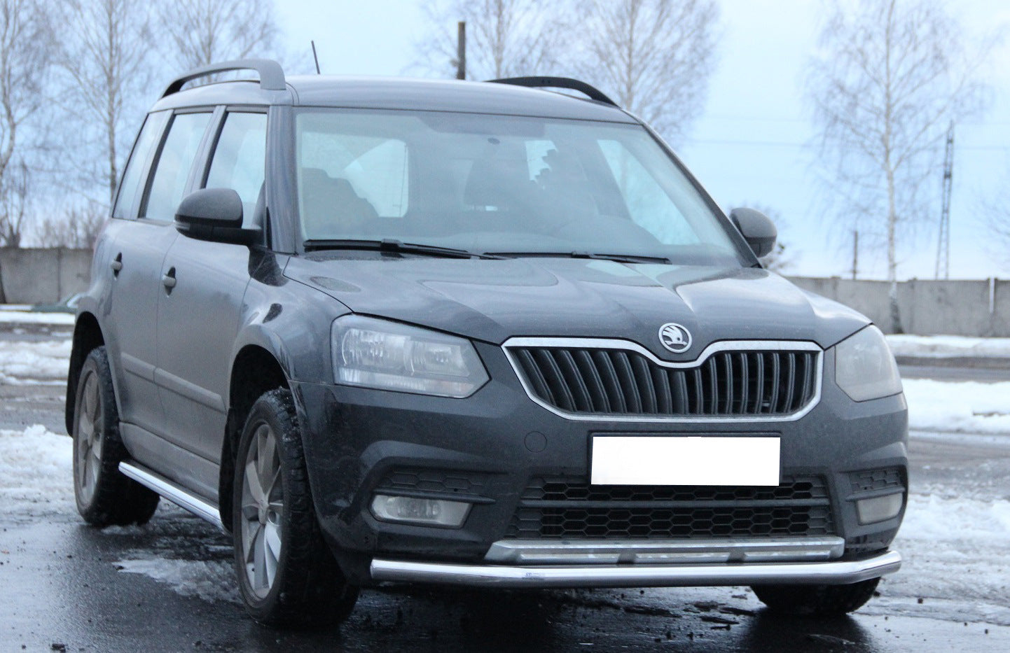 Front Bar ST008 (Stainless Steel) for Skoda Yeti 2009-2017 - image 3