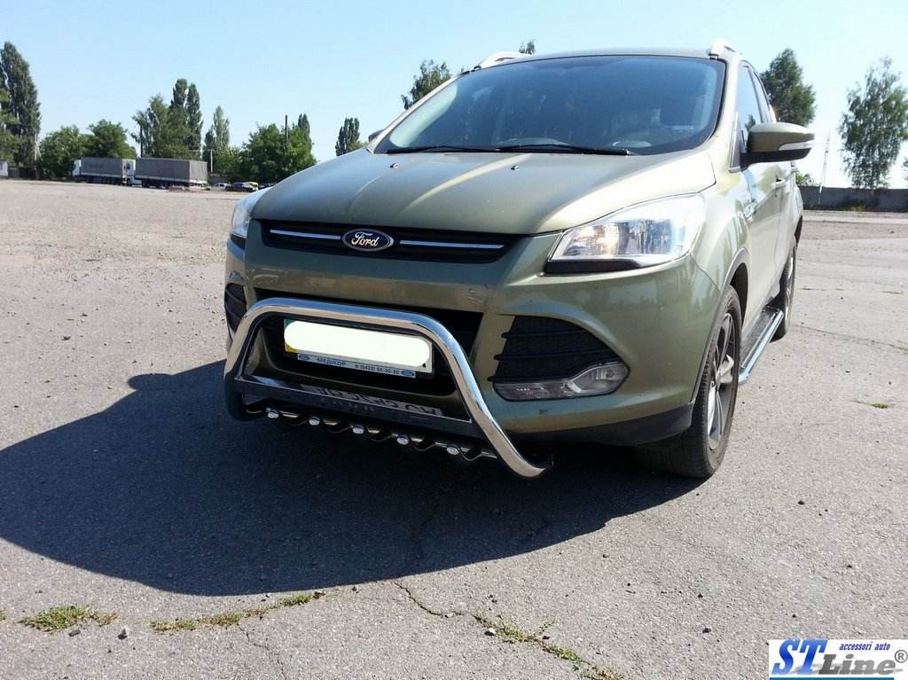 Kangaroo cage WT004 (stainless steel) for Ford Kuga/Escape 2013-2019 - Reelken Auto