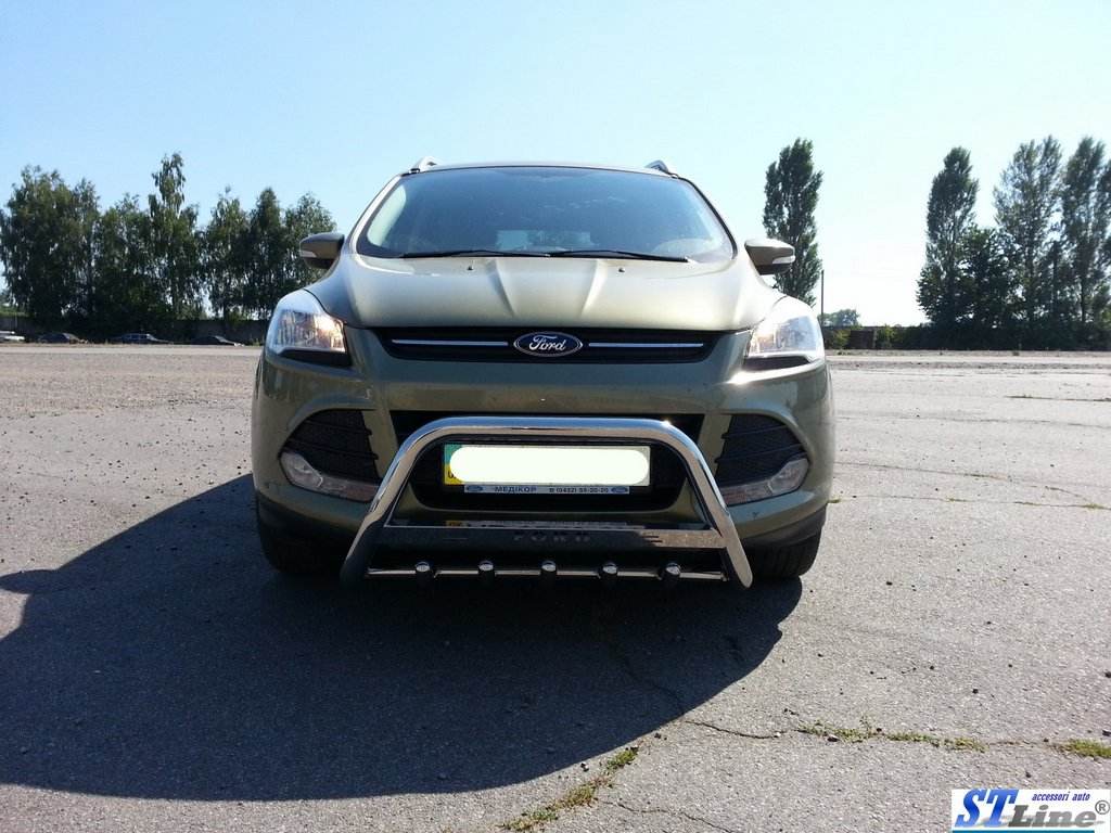 Kangaroo cage WT004 (stainless steel) for Ford Kuga/Escape 2013-2019 - Reelken Auto