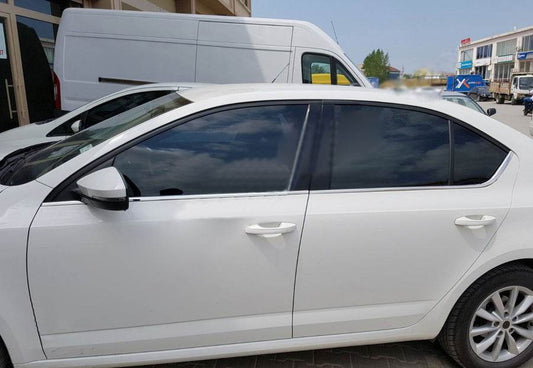 Edging glass (6 PCs, stainless steel) for Skoda Octavia III A7 2013-2019 - Reelken Auto