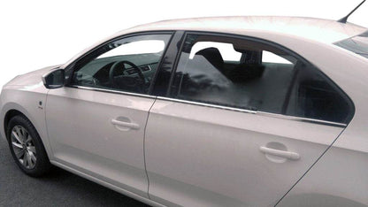 The outer edging of glass (stainless) for Seat Toledo 2012-2019 - Reelken Auto