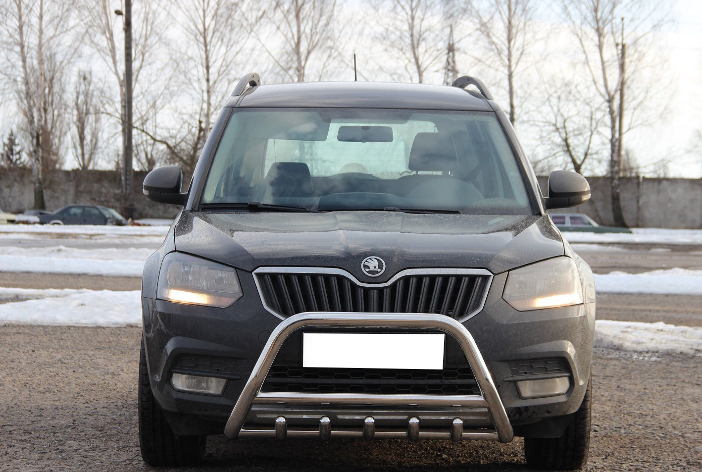 Bull Bar WT003 (Stainless Steel) for Skoda Yeti 2009-2017 - image 1