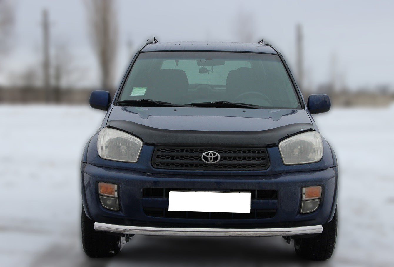 Front Bar ST008 (Stainless Steel) for Toyota Rav 4 2001-2005 - image 1