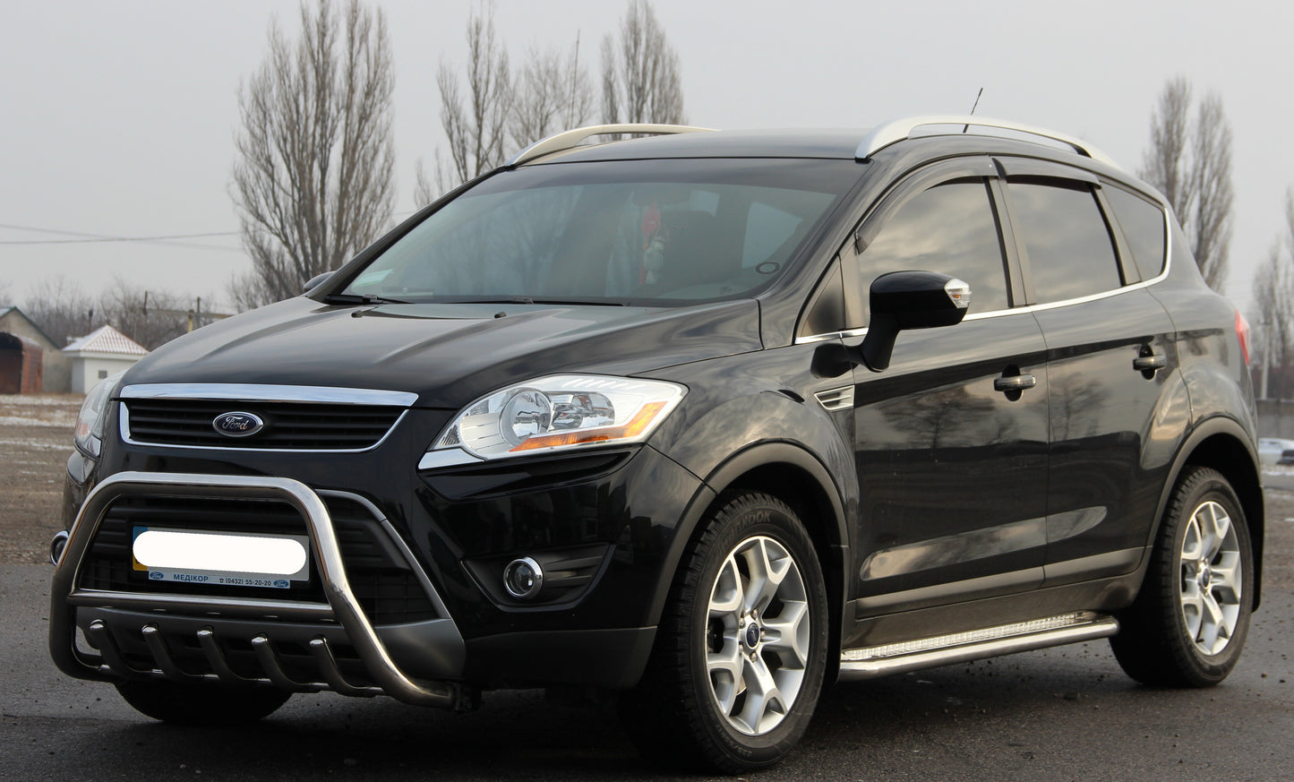 Bull Bar WT003 (Stainless Steel) for Ford Kuga 2008-2013 - image 2