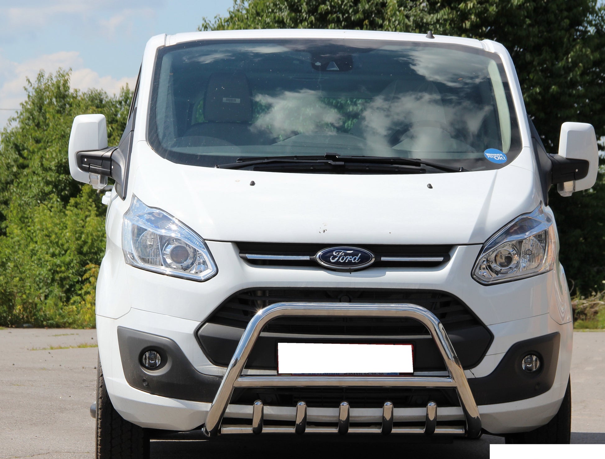 Bull Bar WT003 (Stainless Steel) for Ford Custom 2013-2022 - image 1