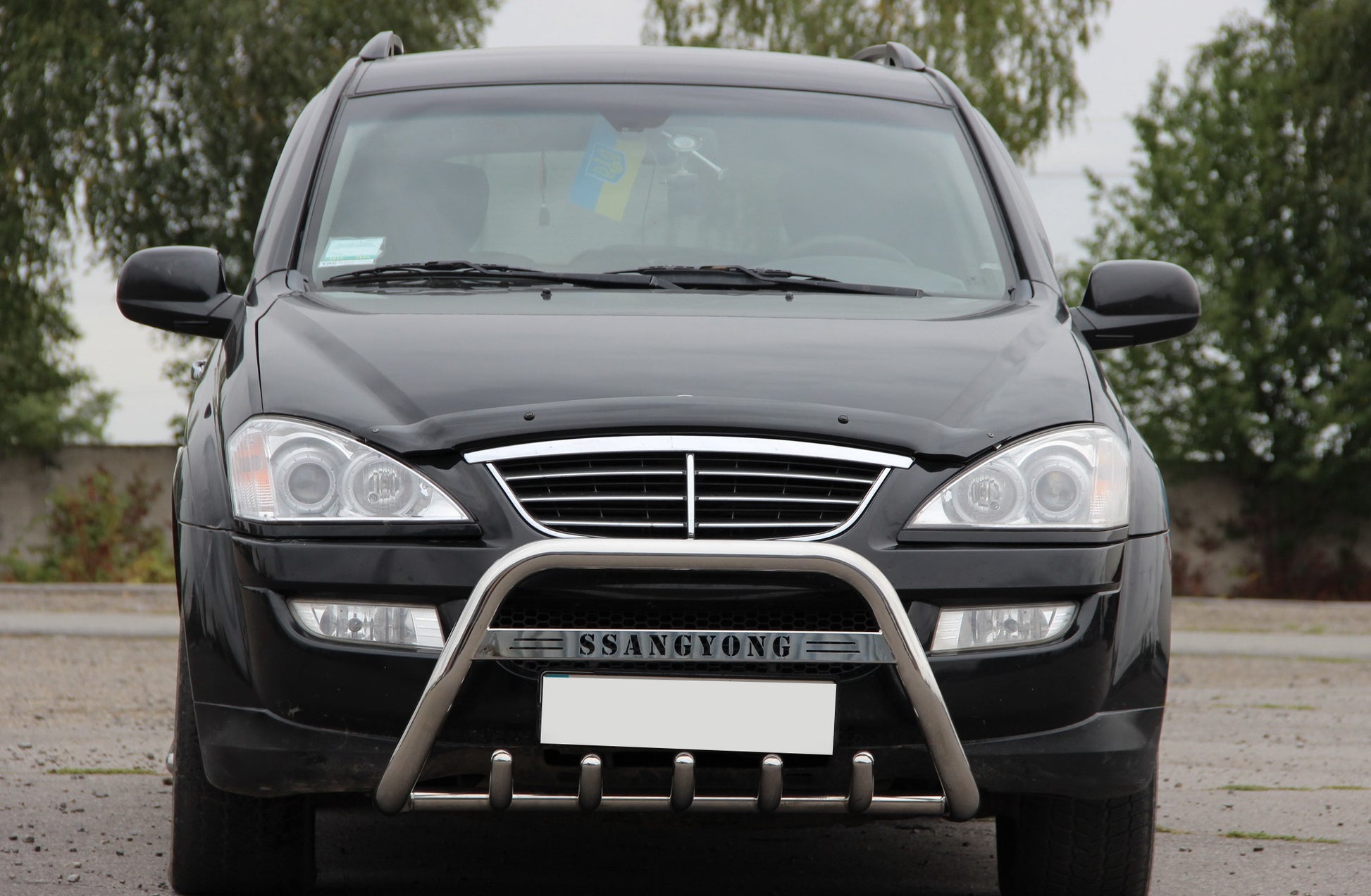 Bull Bar WT004 Stainless Steel for SsangYong Kyron 2005-2014 - image 1