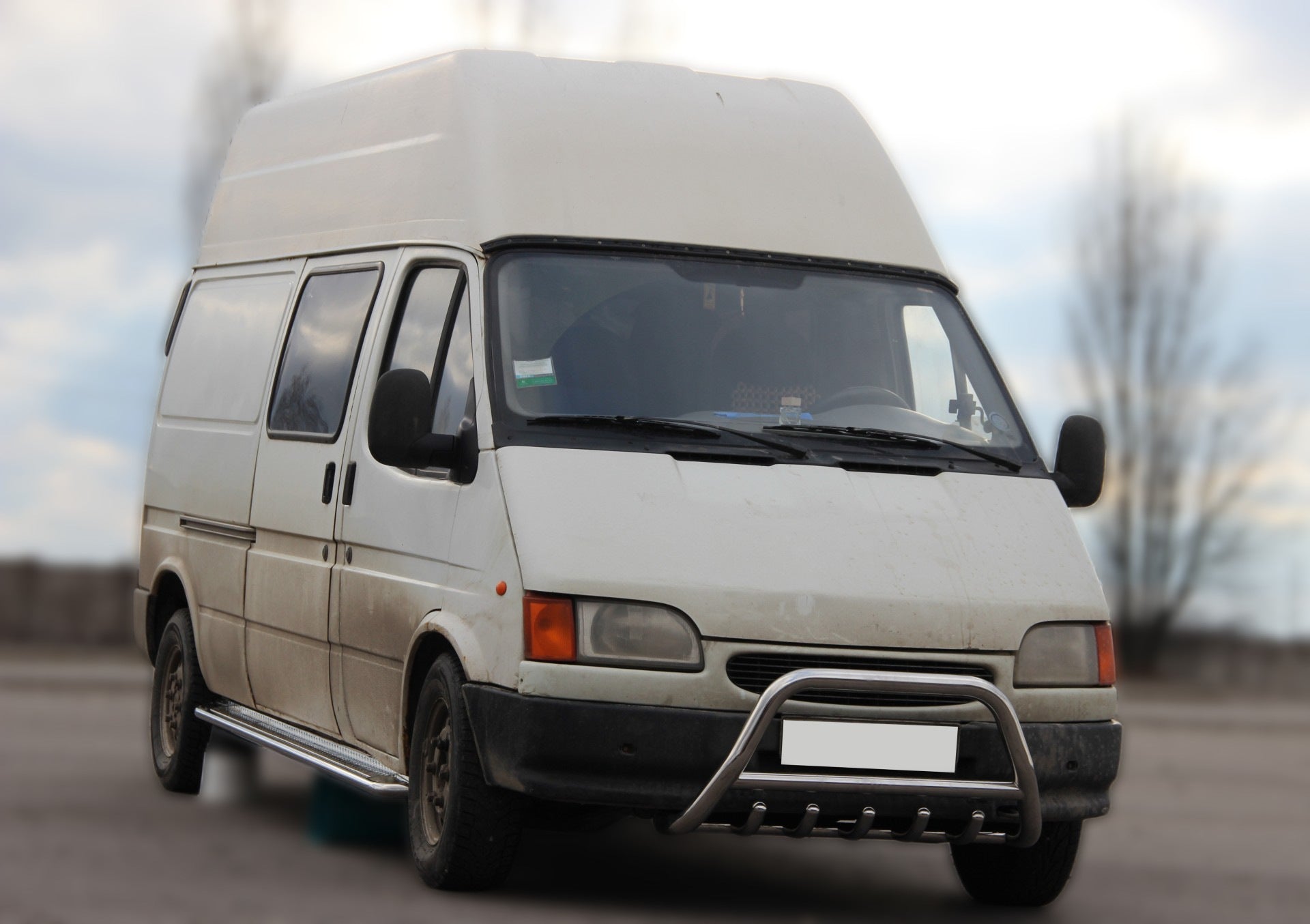 Bull Bar WT003 (Stainless Steel) for Ford Transit 1991-2000 - image 1