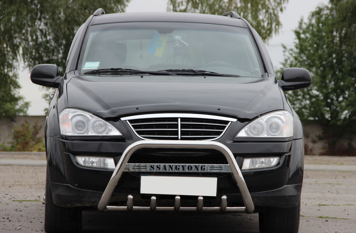 Bull Bar WT004 Stainless Steel for SsangYong Kyron 2005-2014 - image 1