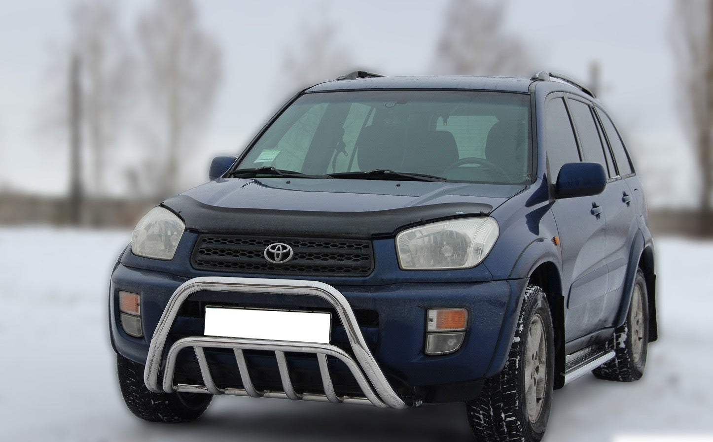 Front Bar WT002 (Stainless Steel) for Toyota Rav 4 2001-2005 - image 3
