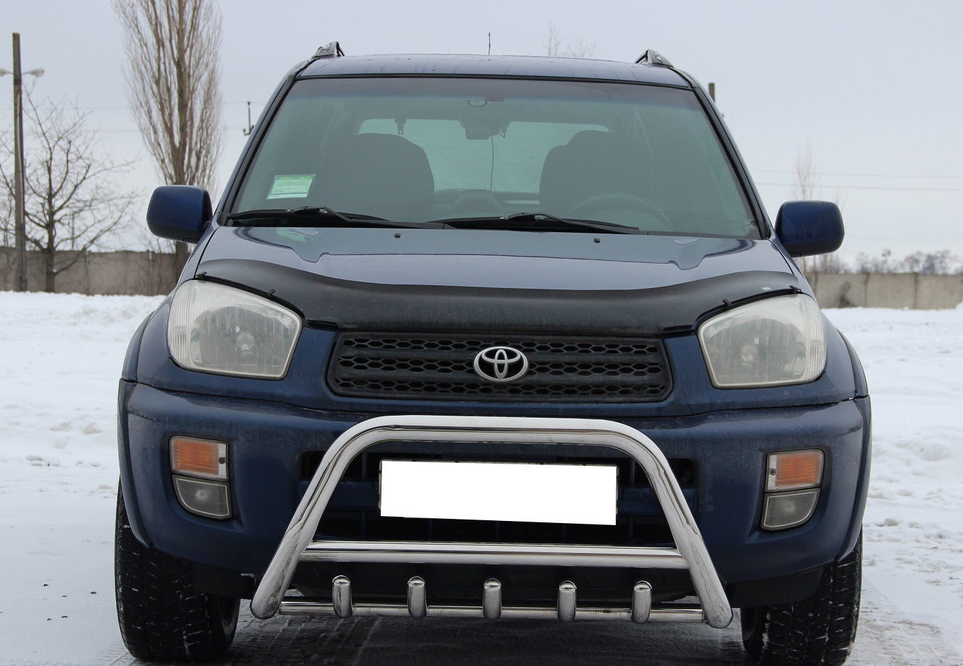 Bull Bar WT003 (Stainless Steel) for Toyota Rav 4 2001-2005 - image 4