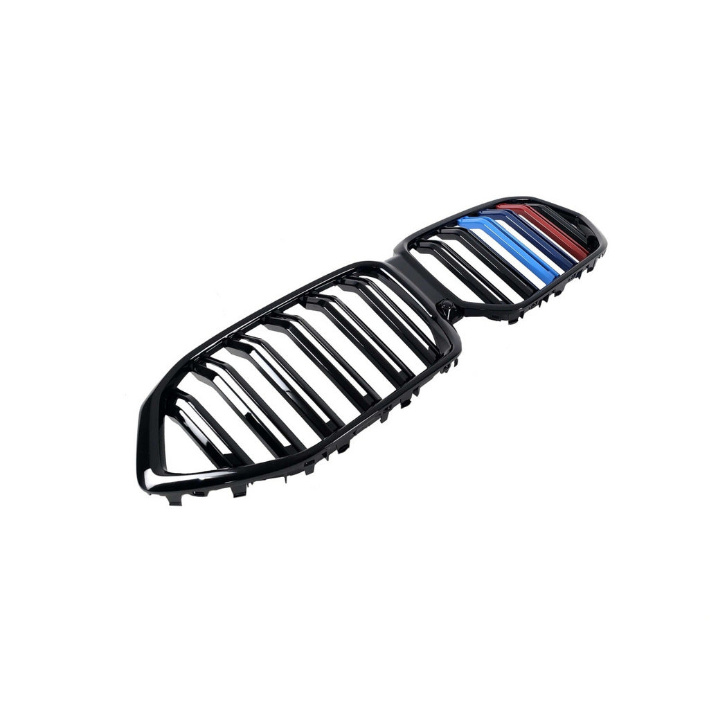 Kidney Grilles M-Look (2019-2022, M-Color) for BMW X6 G06 2019- - image 3